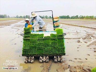 Áp dụng cơ giới hóa giảm lượng giống gieo sạ