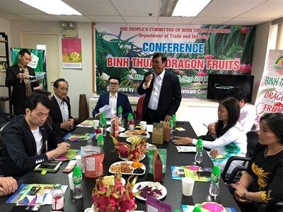 Xúc tiến tiêu thụ thanh long Bình Thuận tại thị trường Hồng Kông