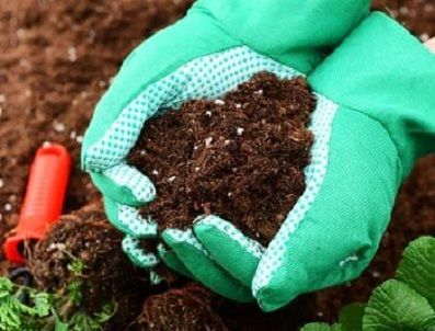Kiến thức cơ bản về phân bón
