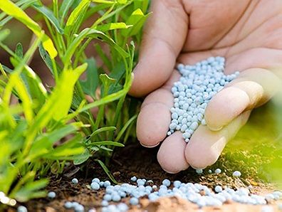 Cách xác định nhu cầu phân bón