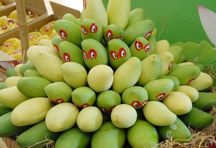 Lô xoài đầu tiên của Đồng Tháp xuất khẩu sang Mỹ