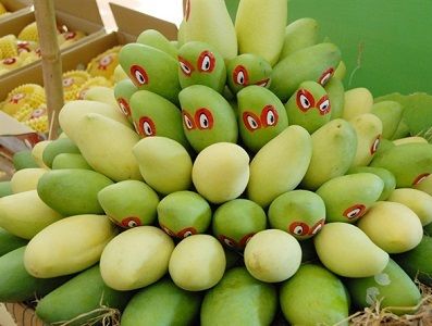 Lô xoài đầu tiên của Đồng Tháp xuất khẩu sang Mỹ