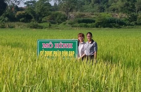 BÁO CÁO KẾT QUẢ MÔ HÌNH TRÌNH DIỄN GIỐNG LÚA VT404 SỬ DỤNG PHÂN BÓN GAP KHÉP KÍN CHO CÂY LÚA TẠI XÃ QUANG SƠN, HUYỆN ĐỒNG HỶ, TỈNH THÁI NGUYÊN VỤ MÙA NĂM 2018