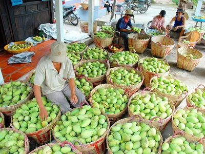 Trung Quốc tăng nhập khẩu rau, quả Việt Nam khởi sắc