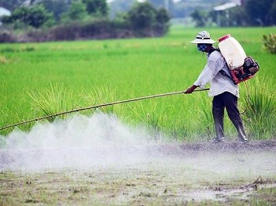Chính thức loại bỏ hoạt chất Glyphosate tại Việt Nam