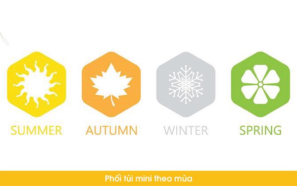 phối túi xách mini theo mùa