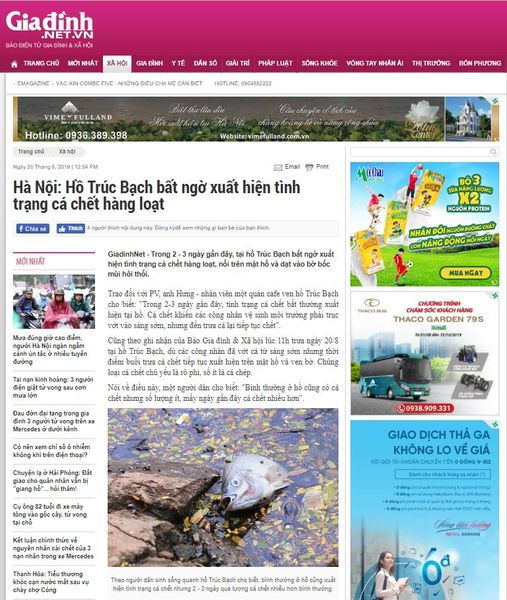 [BÁO GIADINH.NET] Hà Nội: Hồ Trúc Bạch bất ngờ xuất hiện tình trạng cá chết hàng loạt
