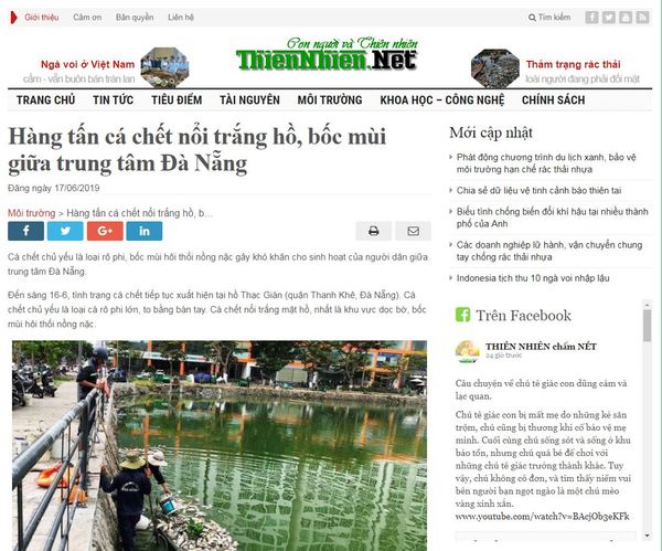 [BÁO THIENNHIEN.NET] Hàng tấn cá chết nổi trắng hồ, bốc mùi giữa trung tâm Đà Nẵng