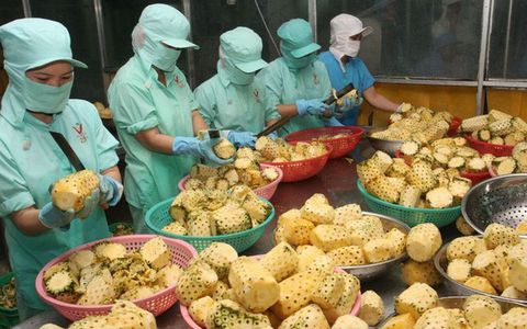 Bộ Công Thương đề nghị các Bộ ngành cùng vào cuộc giải cứu nông sản Việt giữa tâm dịch do virus corona