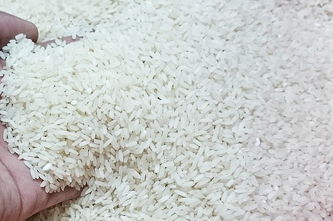 Tín hiệu vui từ giá gạo xuất khẩu