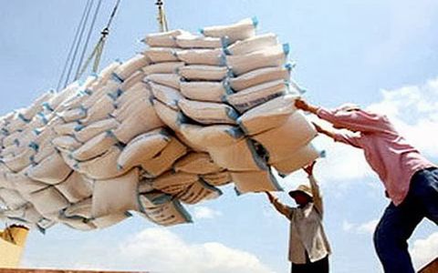 Tăng hơn 110% về lượng xuất khẩu, Bờ Biển Ngà trở thành thị trường lớn nhất tại châu Phi của gạo Việt