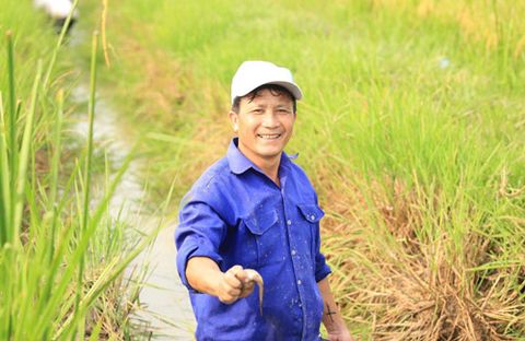 Thập niên mới, bàn cách nâng tầm gạo Việt