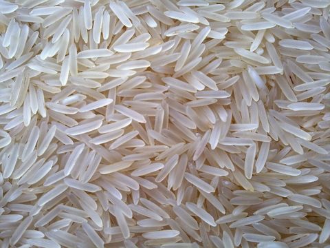 Xuất khẩu gạo sang Philippines và Bờ biển Ngà tăng rất mạnh