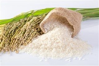 Xuất khẩu gạo năm 2020 dự báo sẽ là điểm sáng giữa đại dịch COVID-19