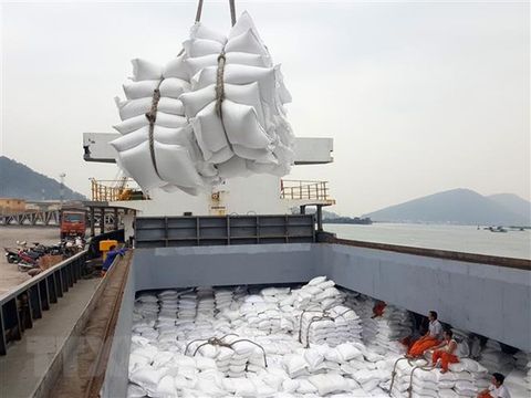 Xuất khẩu gạo Việt Nam sang EU đầy hứa hẹn