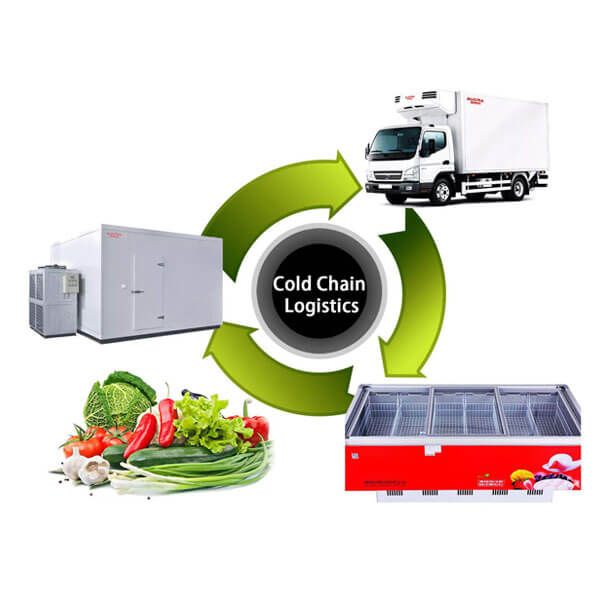 Hệ thống Logistics chuỗi lạnh và cảm biến