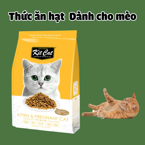 Top 10 thức ăn hạt cho mèo đầy đủ dưỡng chất, dễ mua nhất