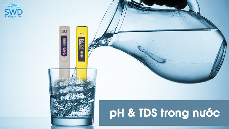 Tại sao TDS chỉ là chuyện hoang đường khi đo chất lượng nước uống