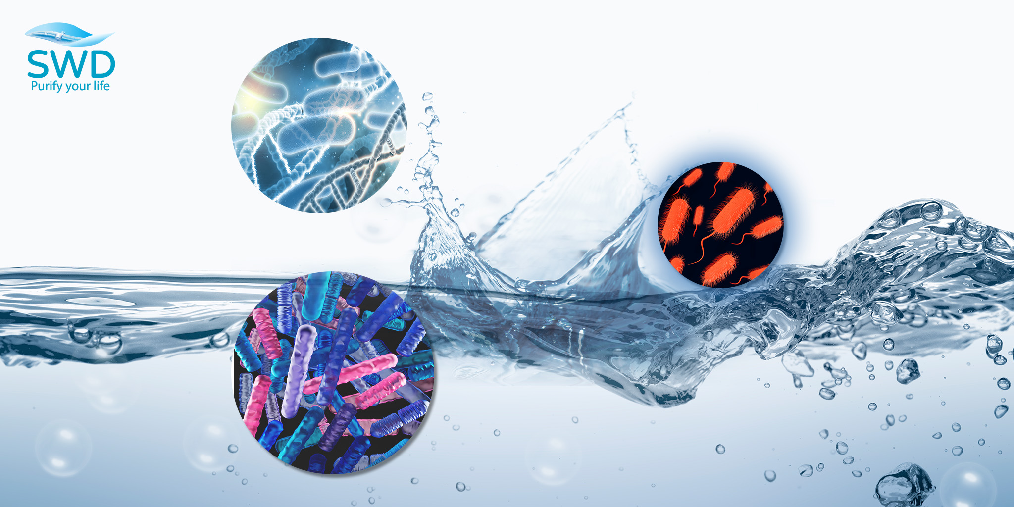 Vi khuẩn Coliform trong nước sinh hoạt: Hiểm họa tiềm ẩn và cách nhận biết