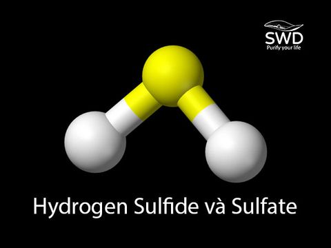 Hydrogen Sulfide và Sulfate - Nguyên nhân nước có mùi hôi