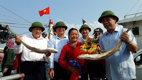 Đi biển đầu năm, ngư dân Quảng Trị trúng hơn 5 tỉ đồng cá bè vàng