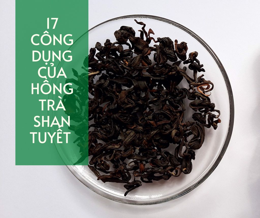 17 công dụng của hồng trà shan tuyết bạn đã biết chưa?