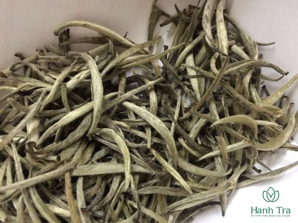 Tìm hiểu về ủ trà đúng cách giúp trà thêm ngon thượng hạng