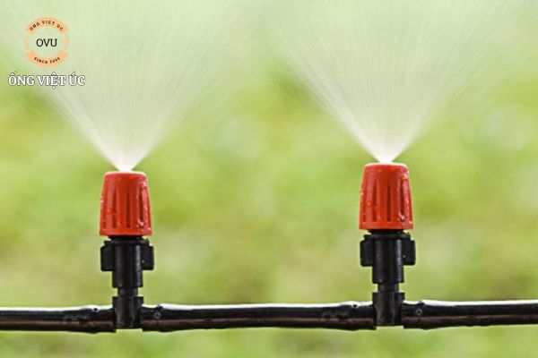 Tìm hiểu về ống tưới vườn tự động