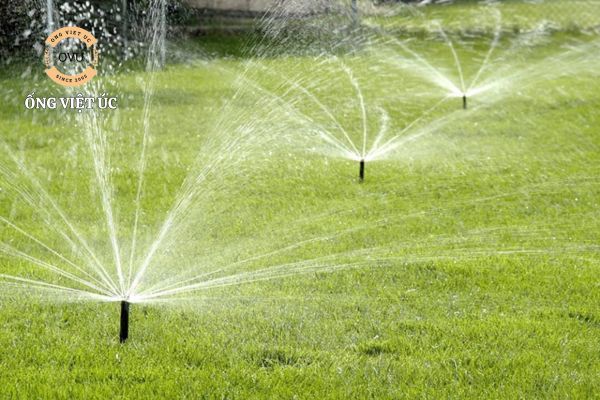 Hệ thống tưới phun mưa tự động hiệu quả, tiết kiệm thời gian