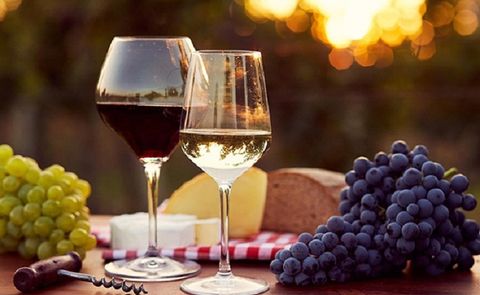 Rượu vang trắng và rượu vang đỏ có tốt cho sức khỏe ?