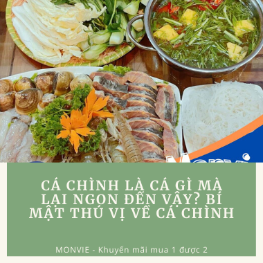 Cá chình là cá gì mà lại ngon đến vậy? Bí mật thú vị về cá chình