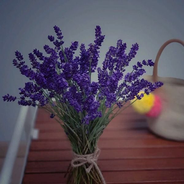 Hoa Lavender khô
