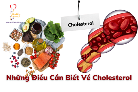 Cholesterol Là Gì? Những Điều Cần Biết Về Cholesterol