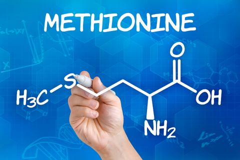 Methionin Là Gì? Tại Sao Methionine Thường Sử Dụng Trong Giải Độc Gan?