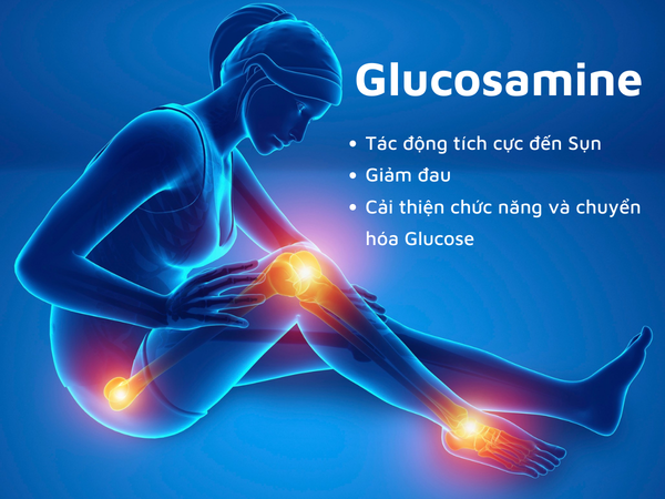 Glucosamine và Chondroitin là gì?
