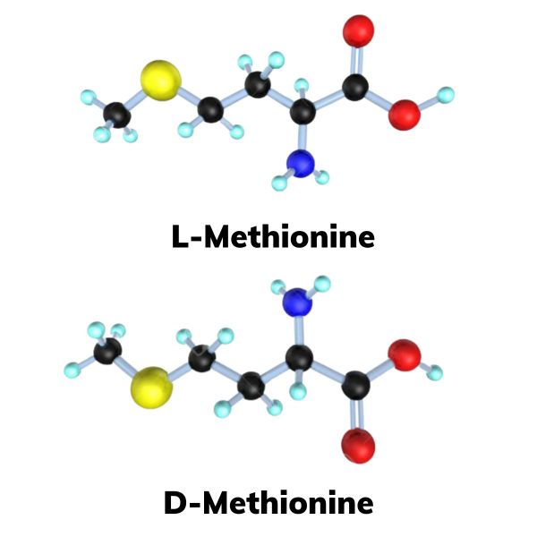 Methionin là gì?