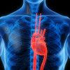 3 Dấu hiện cho thấy bạn mắc bệnh nhồi máu cơ tim