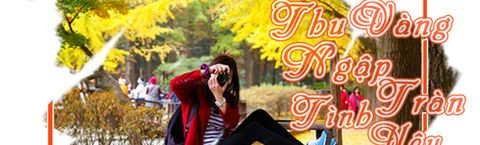 Vui cùng thu vàng với ngàn ưu đãi hấp dẫn