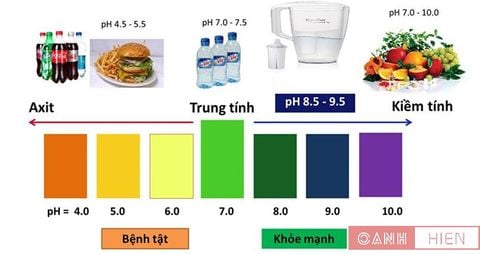 Nên uống nước có độ PH bao nhiêu để tốt cho sức khỏe?