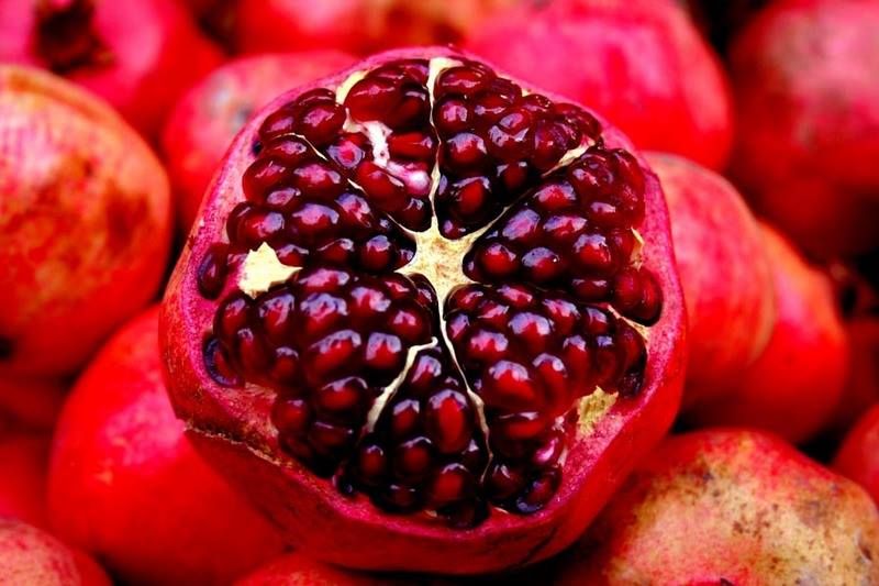 5 LOẠI CÂY ĂN QUẢ DỄ TRỒNG TRÊN SÂN THƯỢNG