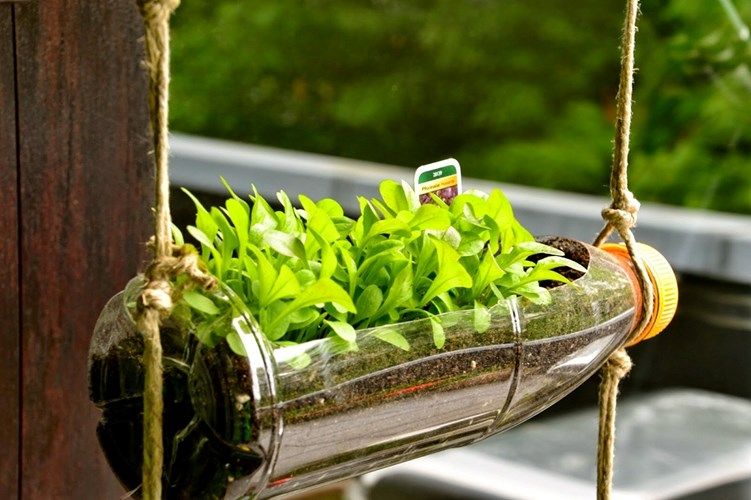 SƯU TẦM CÁC MẪU KỆ TRỒNG RAU TẠI NHÀ ĐƠN GIẢN