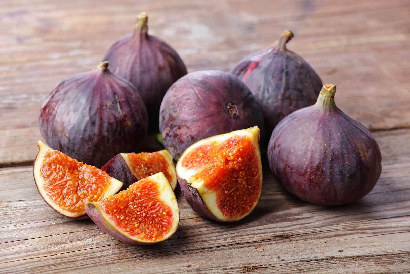 KỸ THUẬT TRỒNG VÀ CHĂM SÓC CÂY SUNG MỸ