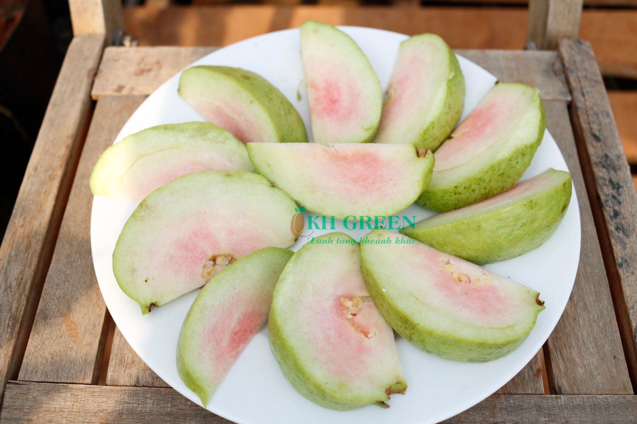 Cách trồng cây ổi trên sân thượng cho năng suất cao