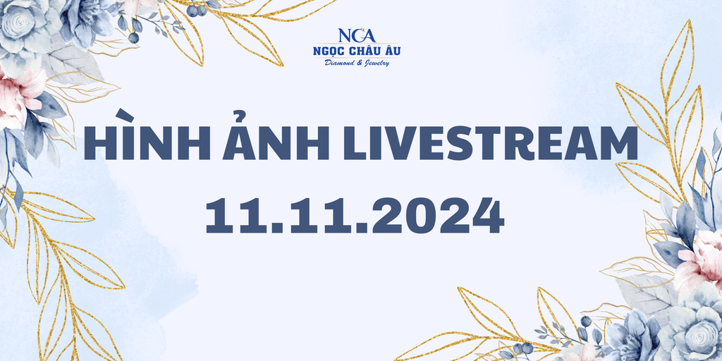 Hình Ảnh Livestream Ngày 11.11.2024