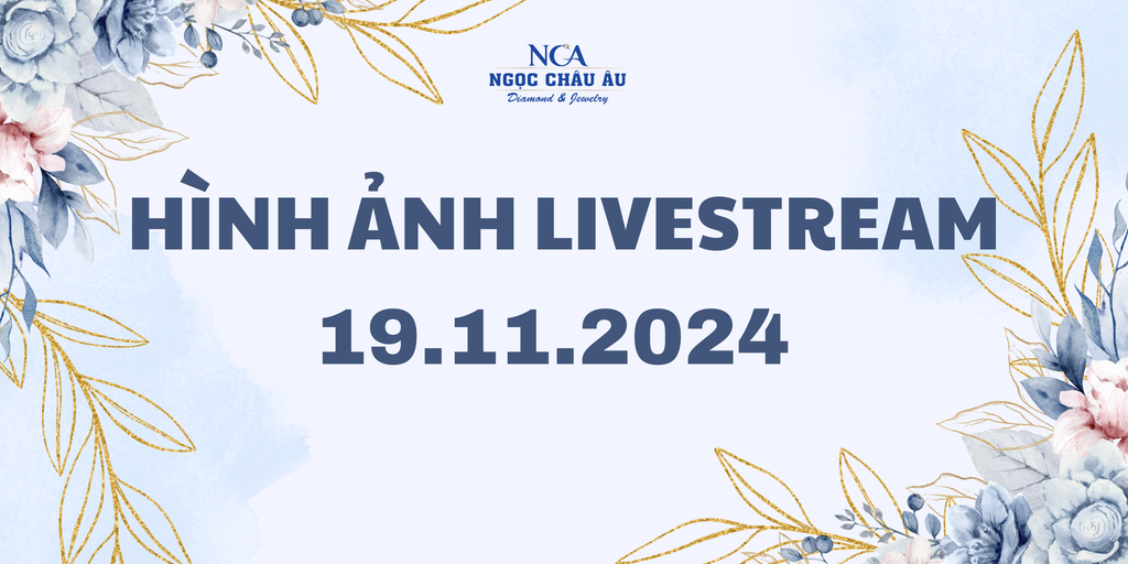 Hình Ảnh Livestream Ngày 19.11.2024