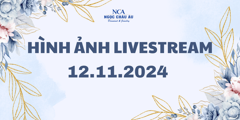 Hình Ảnh Livestream Ngày 12.11.2024