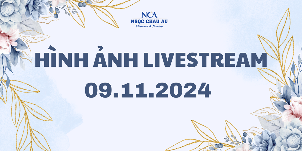 Hình Ảnh Livestream Ngày 09.11.2024