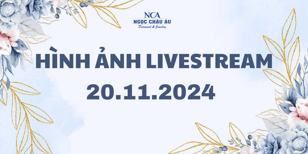 Hình Ảnh Livestream Ngày 20.11.2024