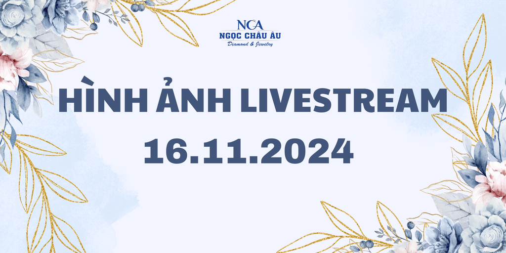 Hình Ảnh Livestream Ngày 16.11.2024