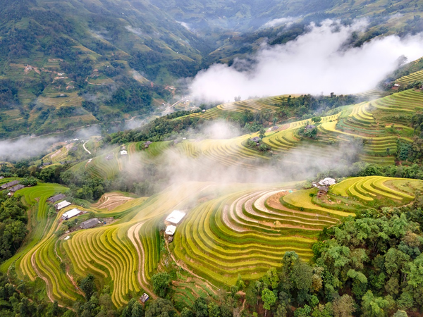 Chia sẻ kinh nghiệm đi du lịch Hà Giang